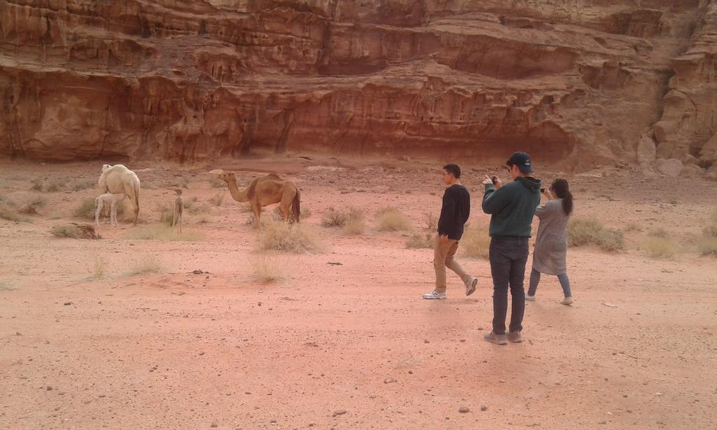 Wadi Rum Light Camp Exterior photo